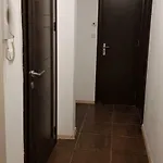 Acrux 12 * Варна